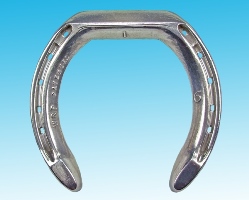 TB World Racing Plate Front
